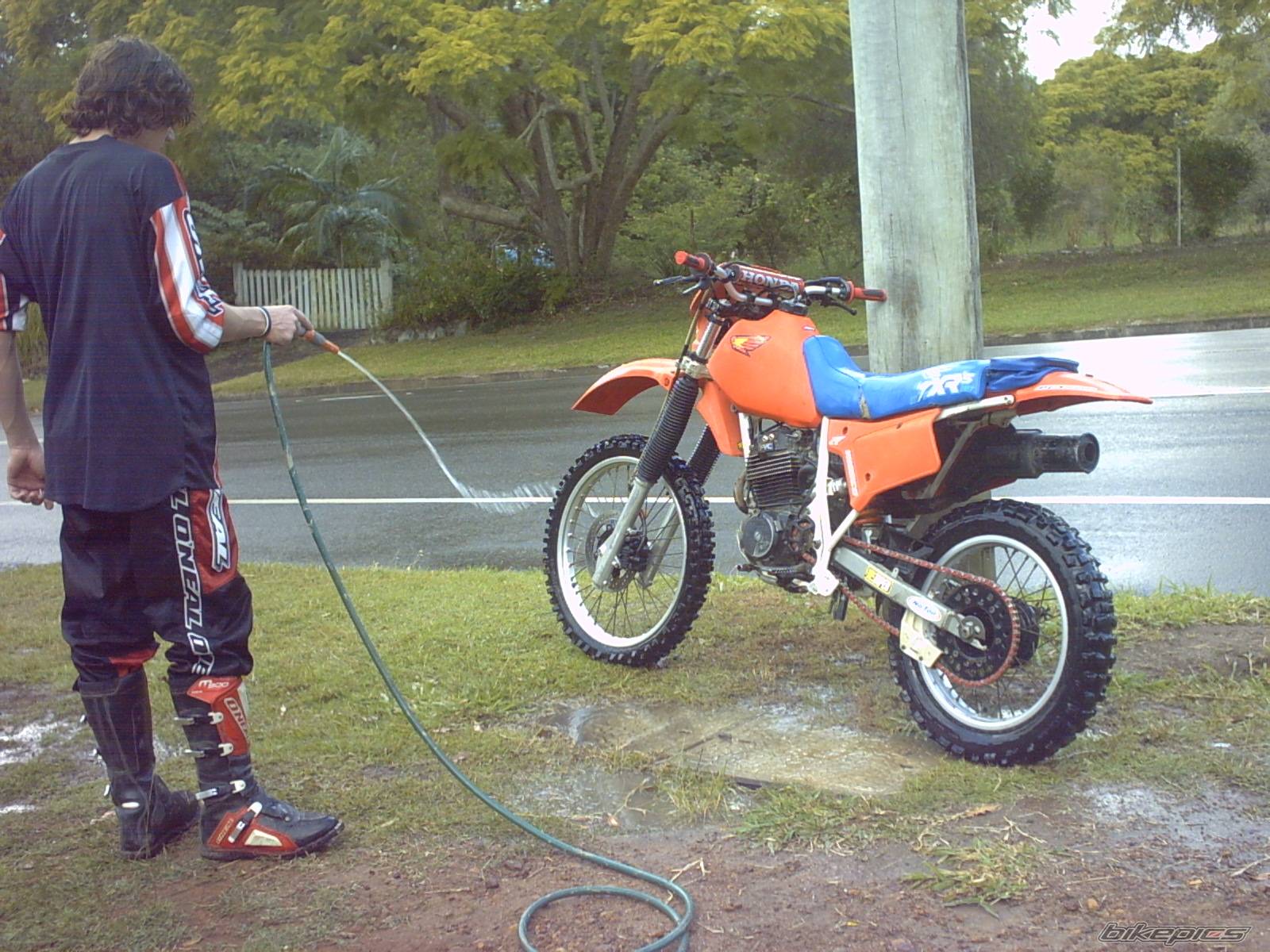 1984 HONDA XR 250 | Picture 166024 motorcycle photo