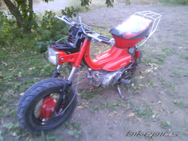 2009 SUZUKI LANDIE 50 | Picture 1660242 motorcycle photo