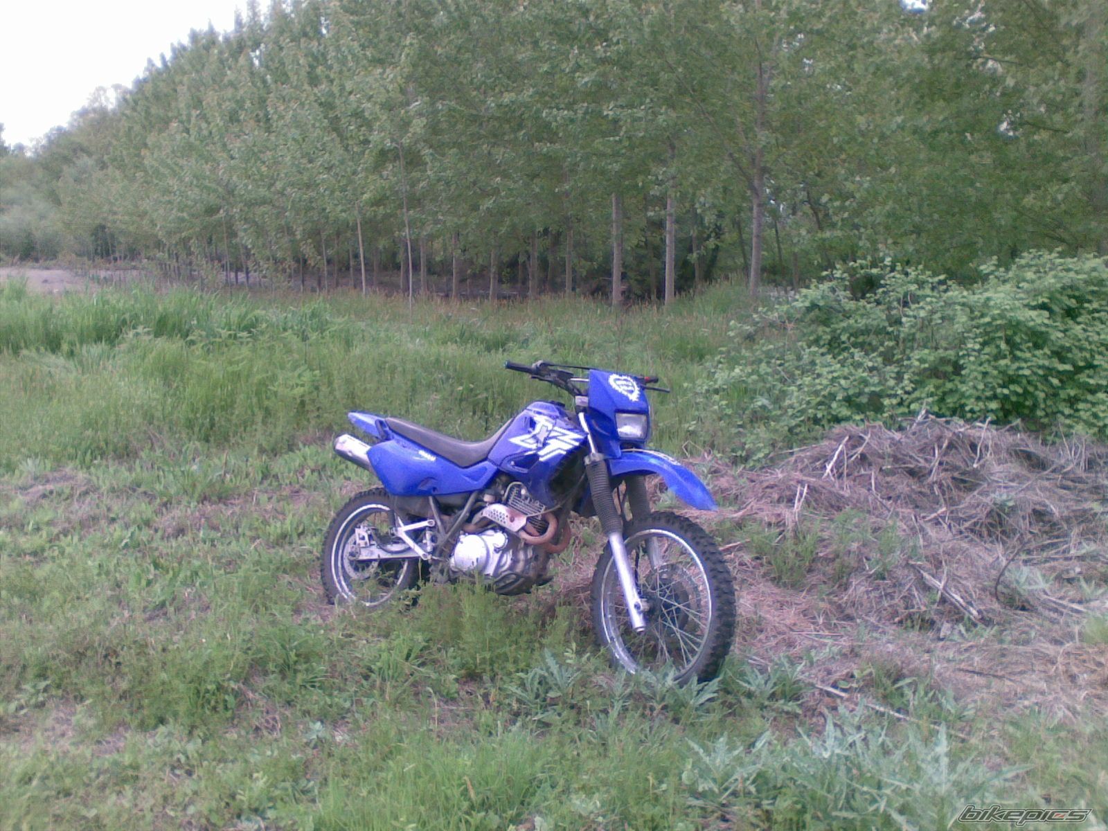 2008 YAMAHA XT 600 | Picture 1660355 motorcycle photo