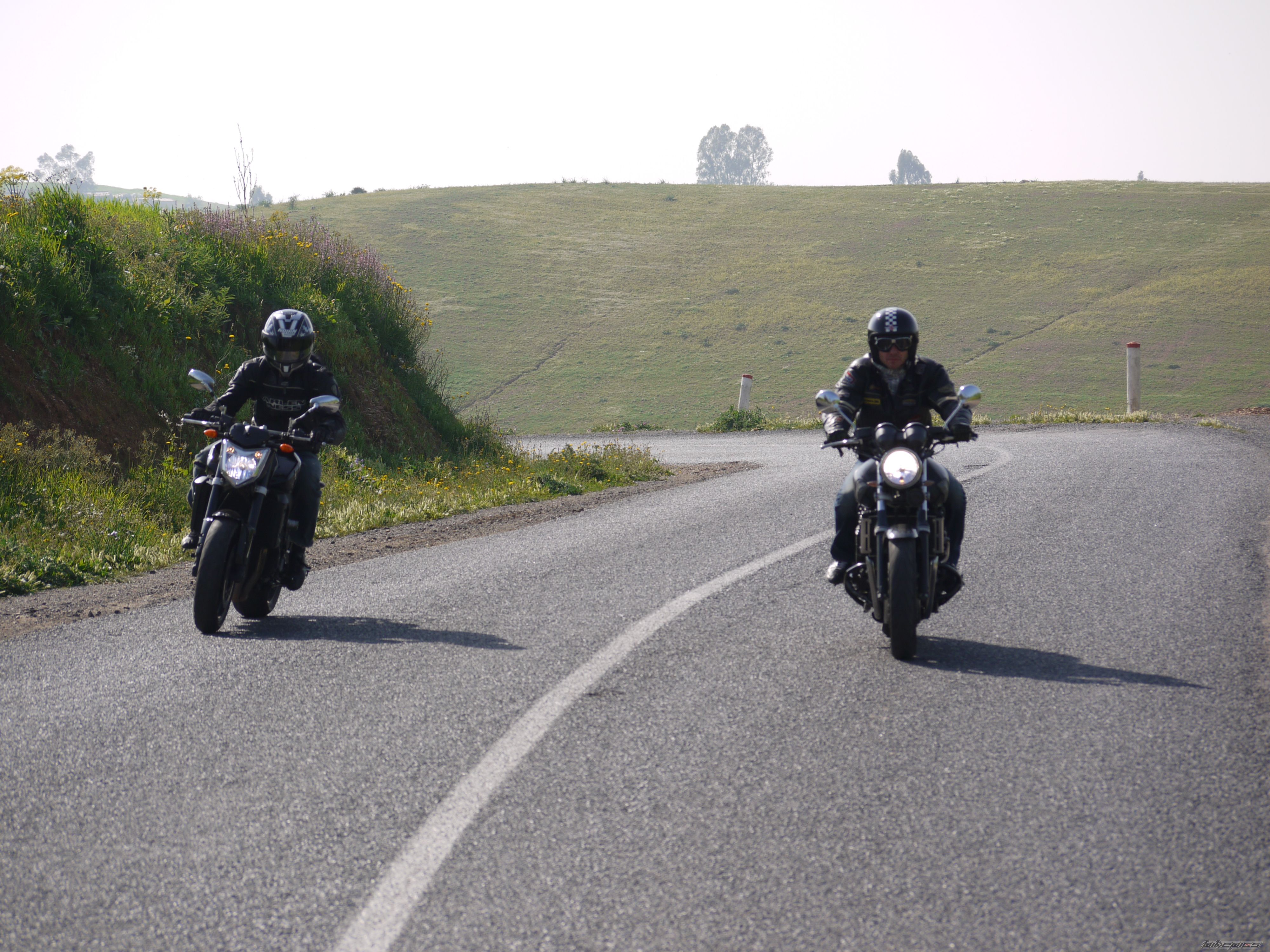 2007 YAMAHA FZ 1N | Picture 1660802 motorcycle photo