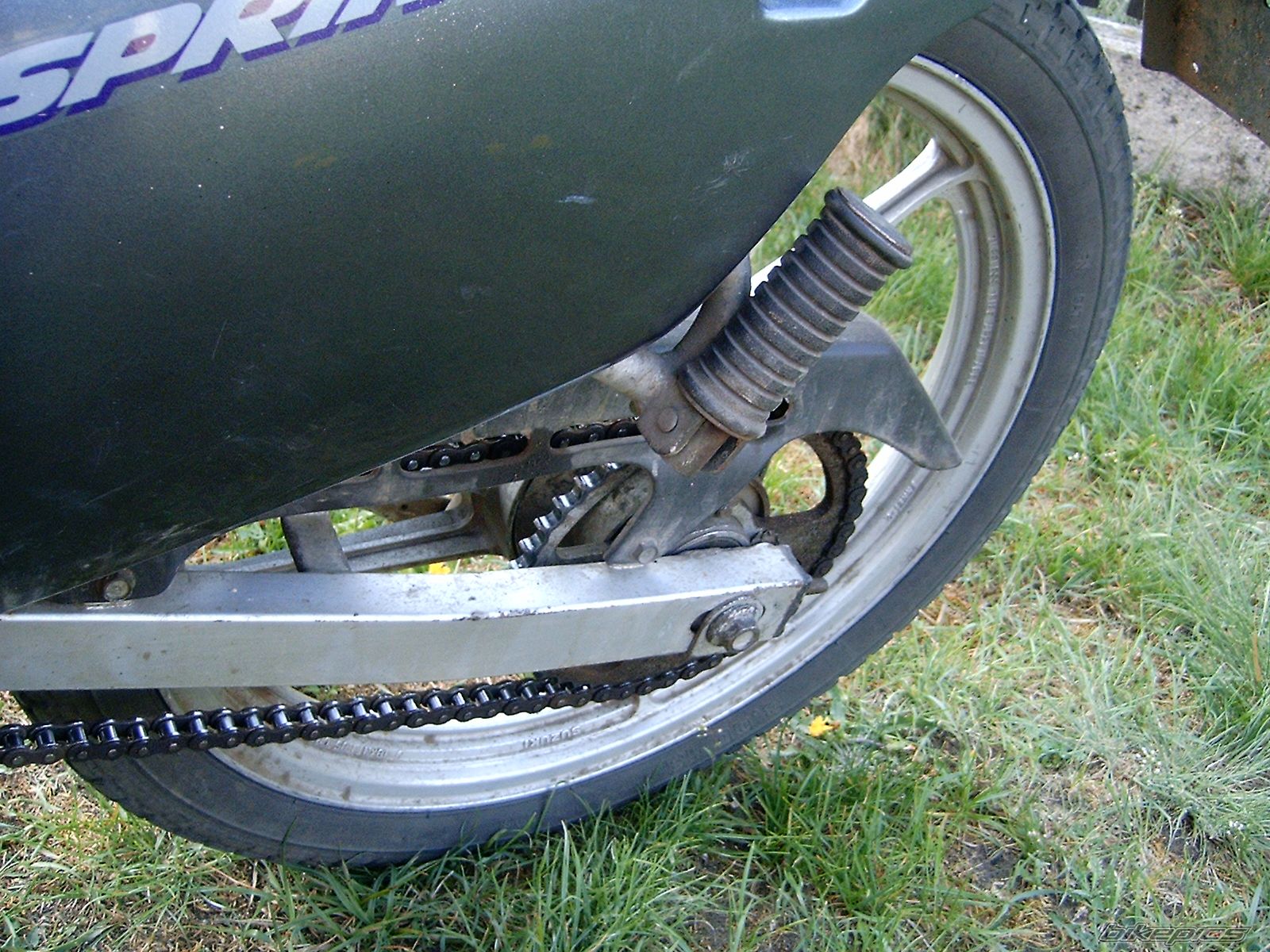 1993 SUZUKI RG 80 | Picture 1660947 motorcycle photo