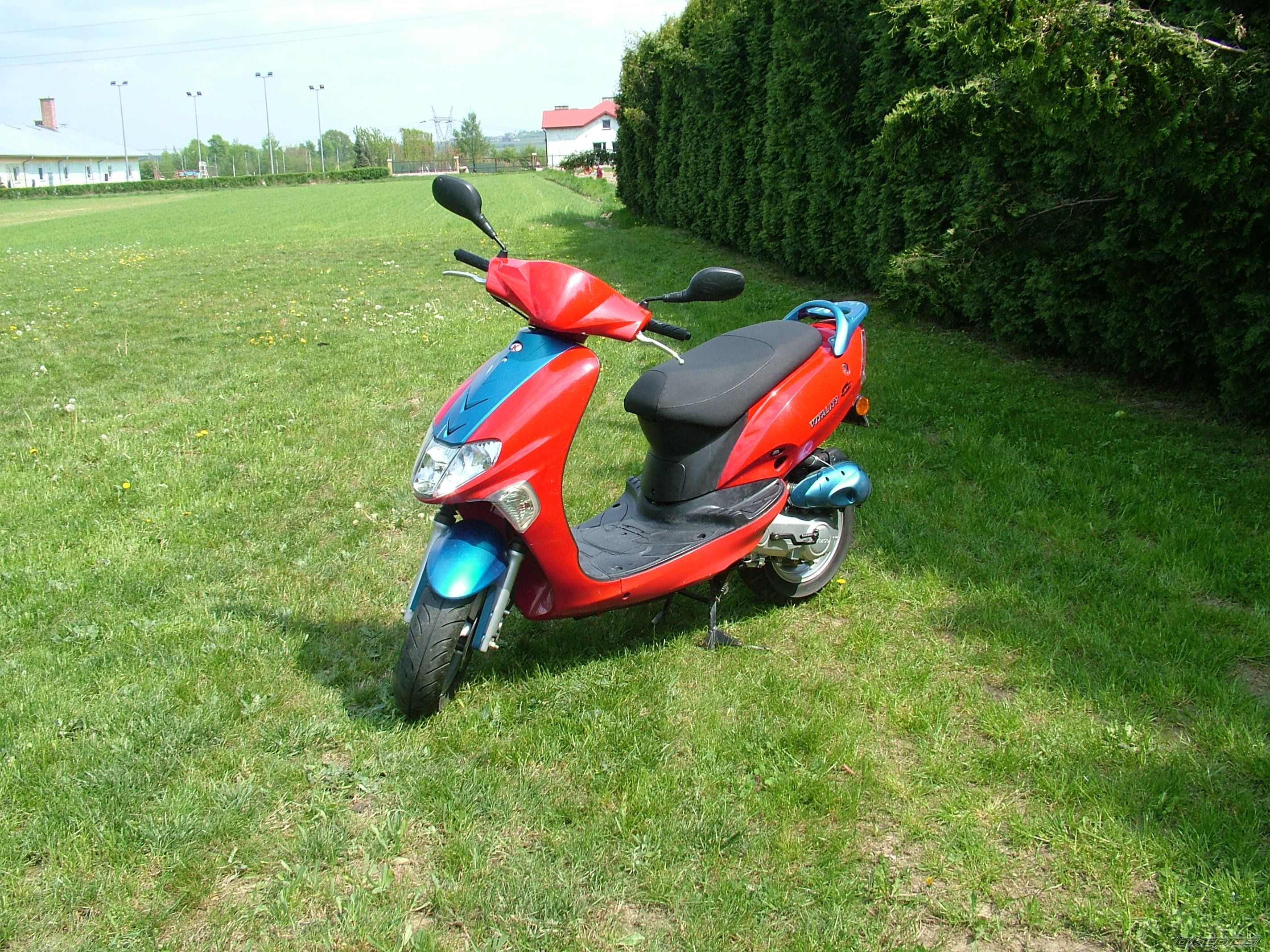 2005 KYMCO VITALITY 50 | Picture 1661233 motorcycle photo
