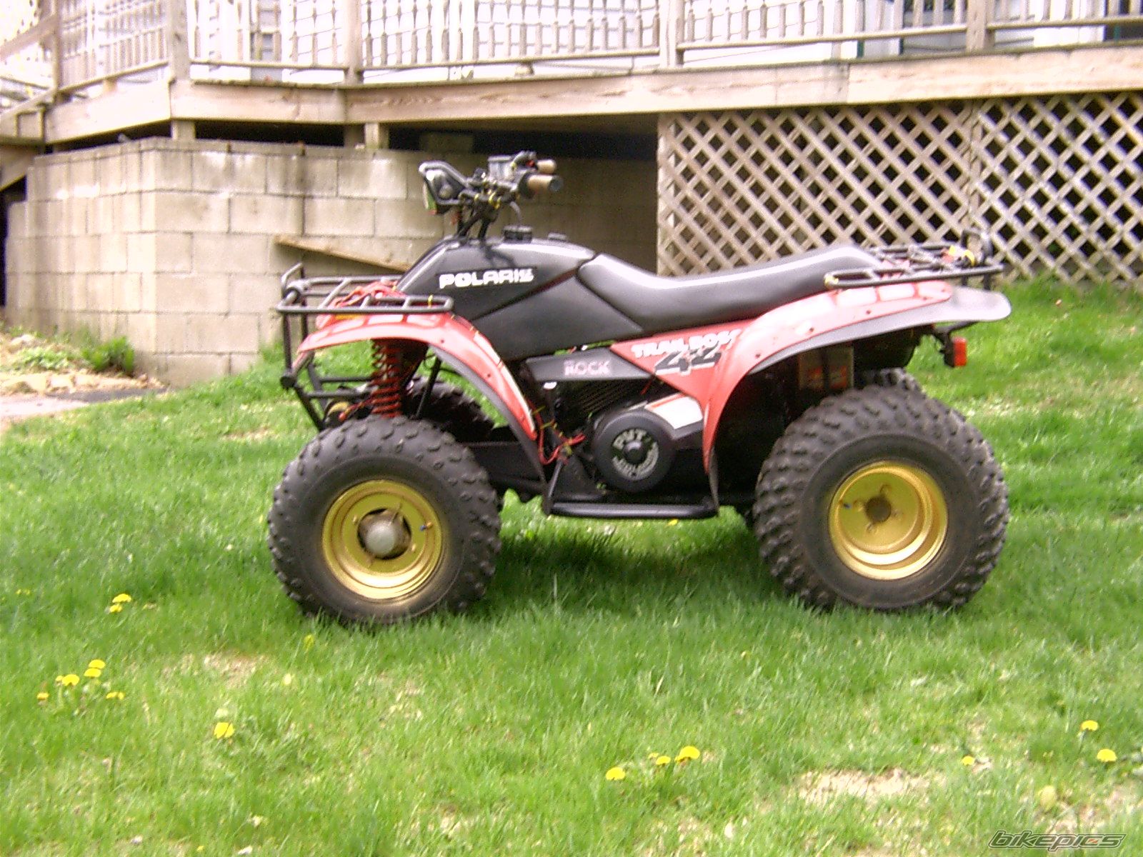 1987 POLARIS TRAIL BOSS 250 | Picture 1661615 motorcycle photo