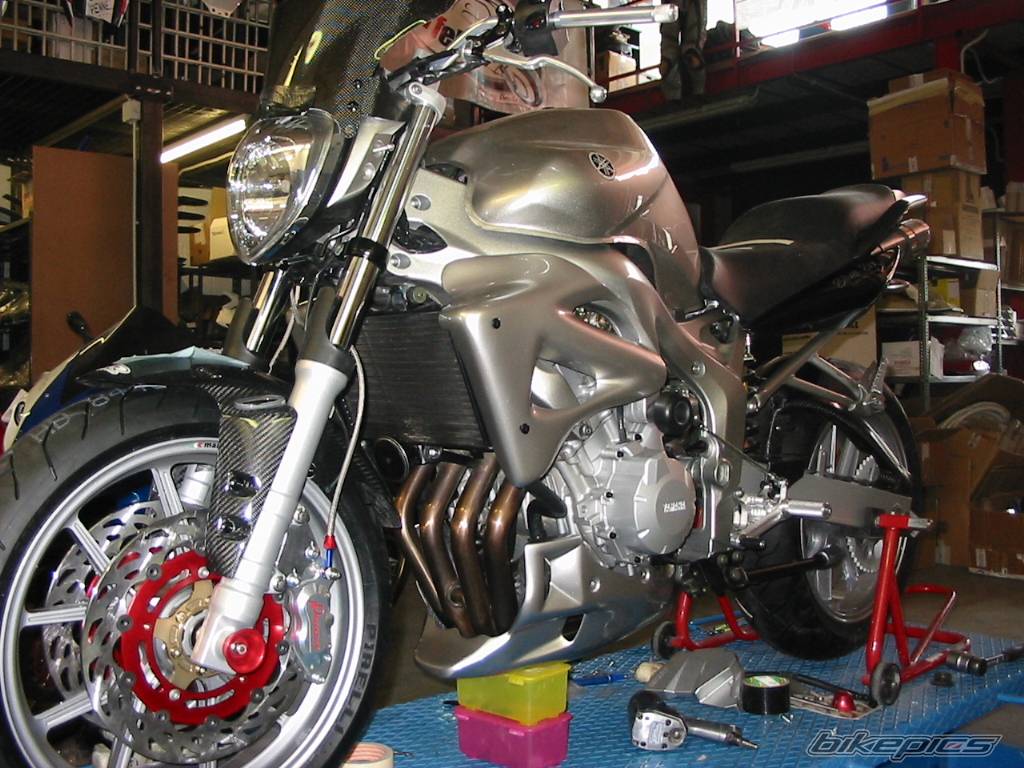 2004 YAMAHA FZ6 FAZER | Picture 166165 motorcycle photo