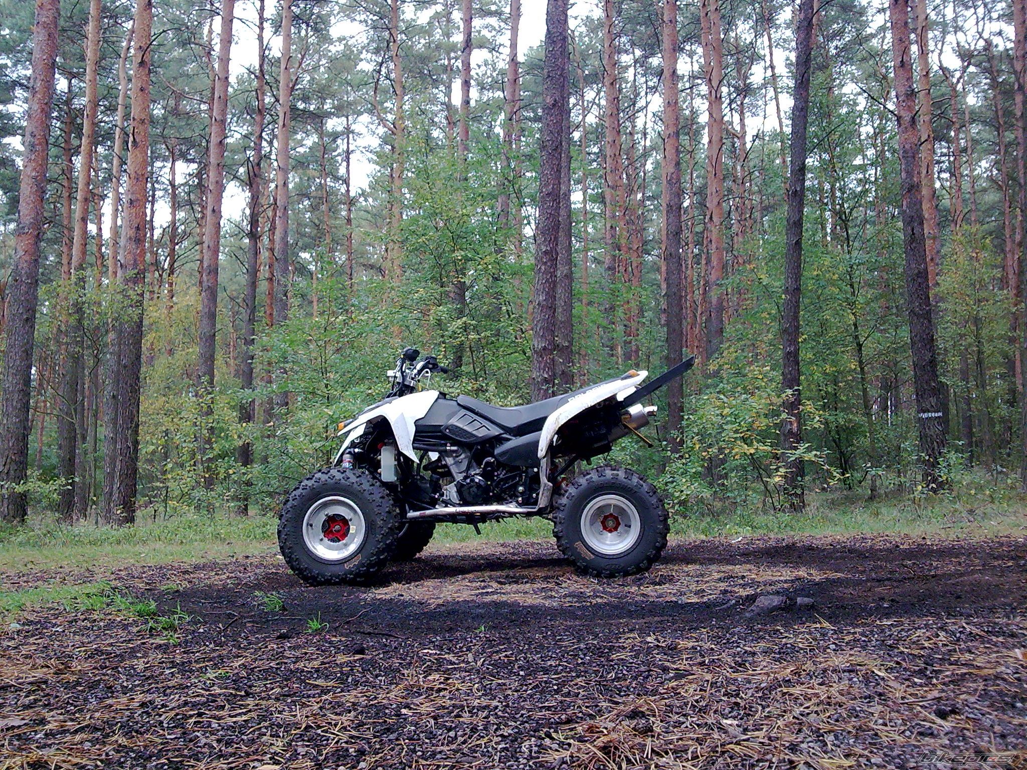 2006 POLARIS PREDATOR 500 | Picture 1661763 motorcycle photo