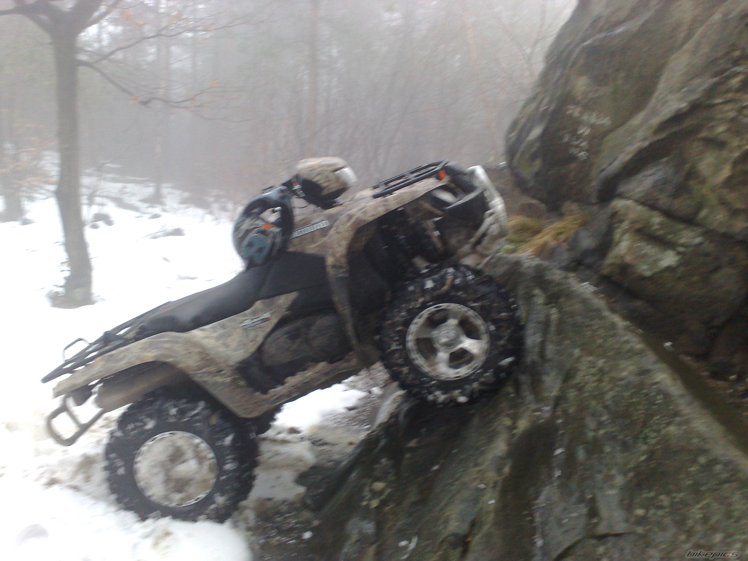 2008 SUZUKI KING QUAD | Picture 1661921 motorcycle photo