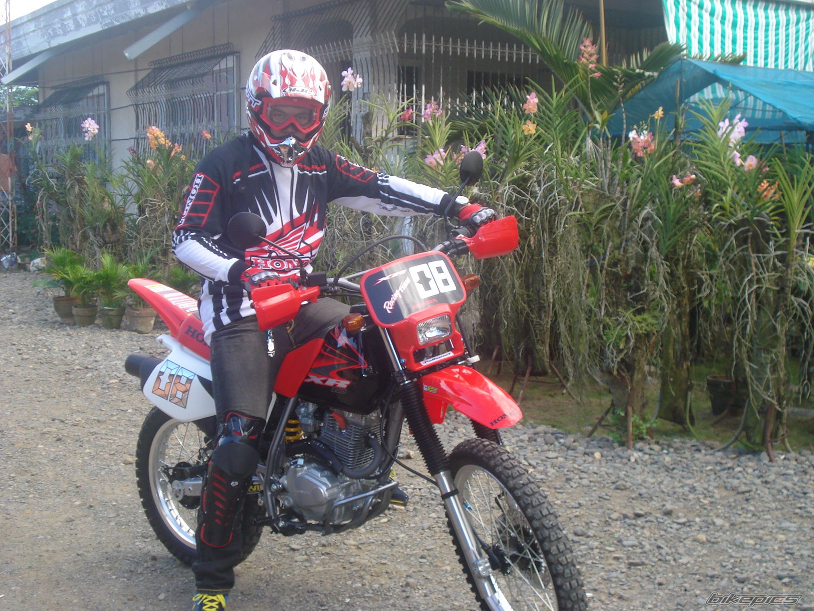 2008 HONDA XR 200 | Picture 1662283 motorcycle photo