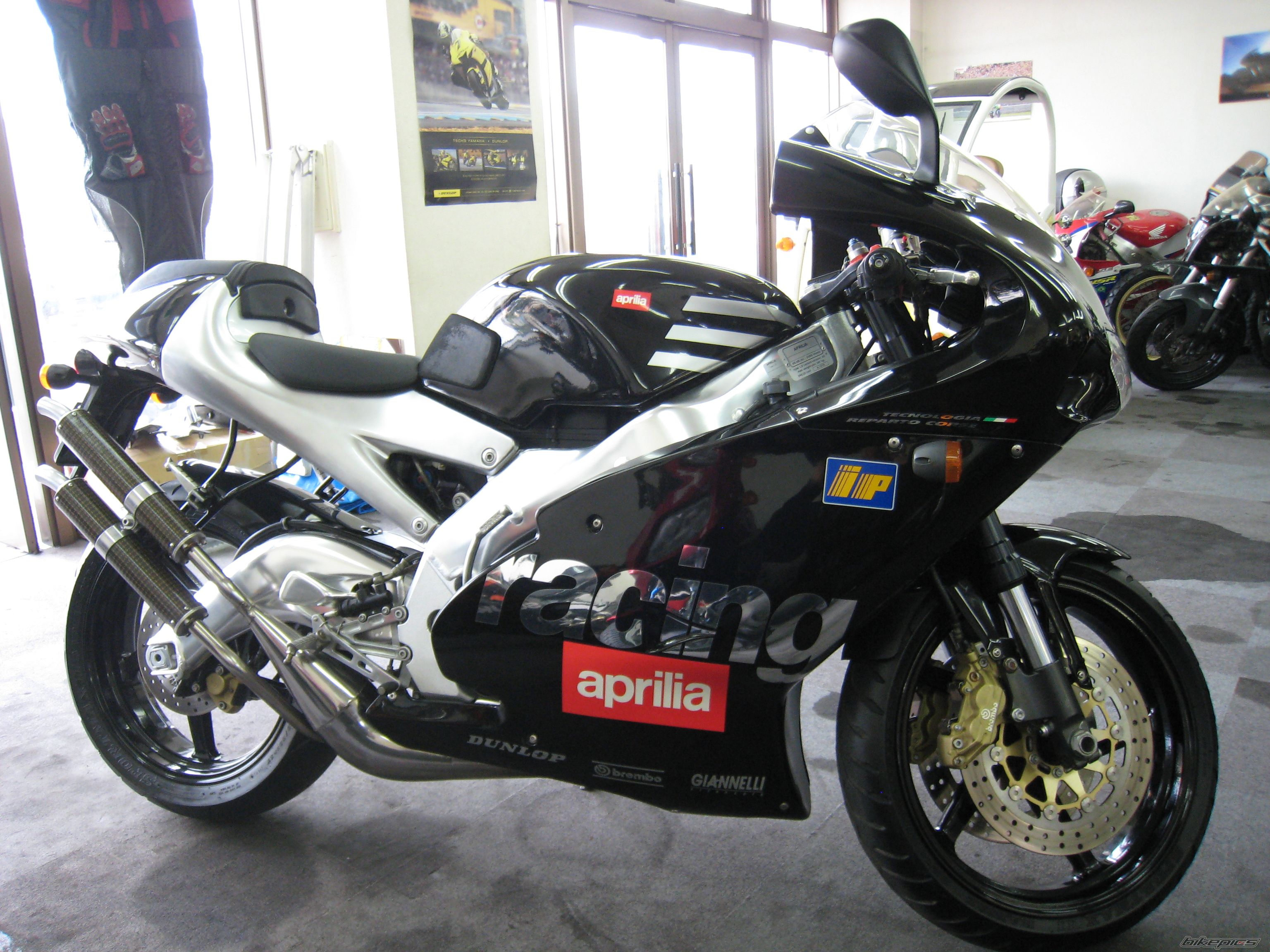 1998 APRILIA RS 250 | Picture 1662678 motorcycle photo