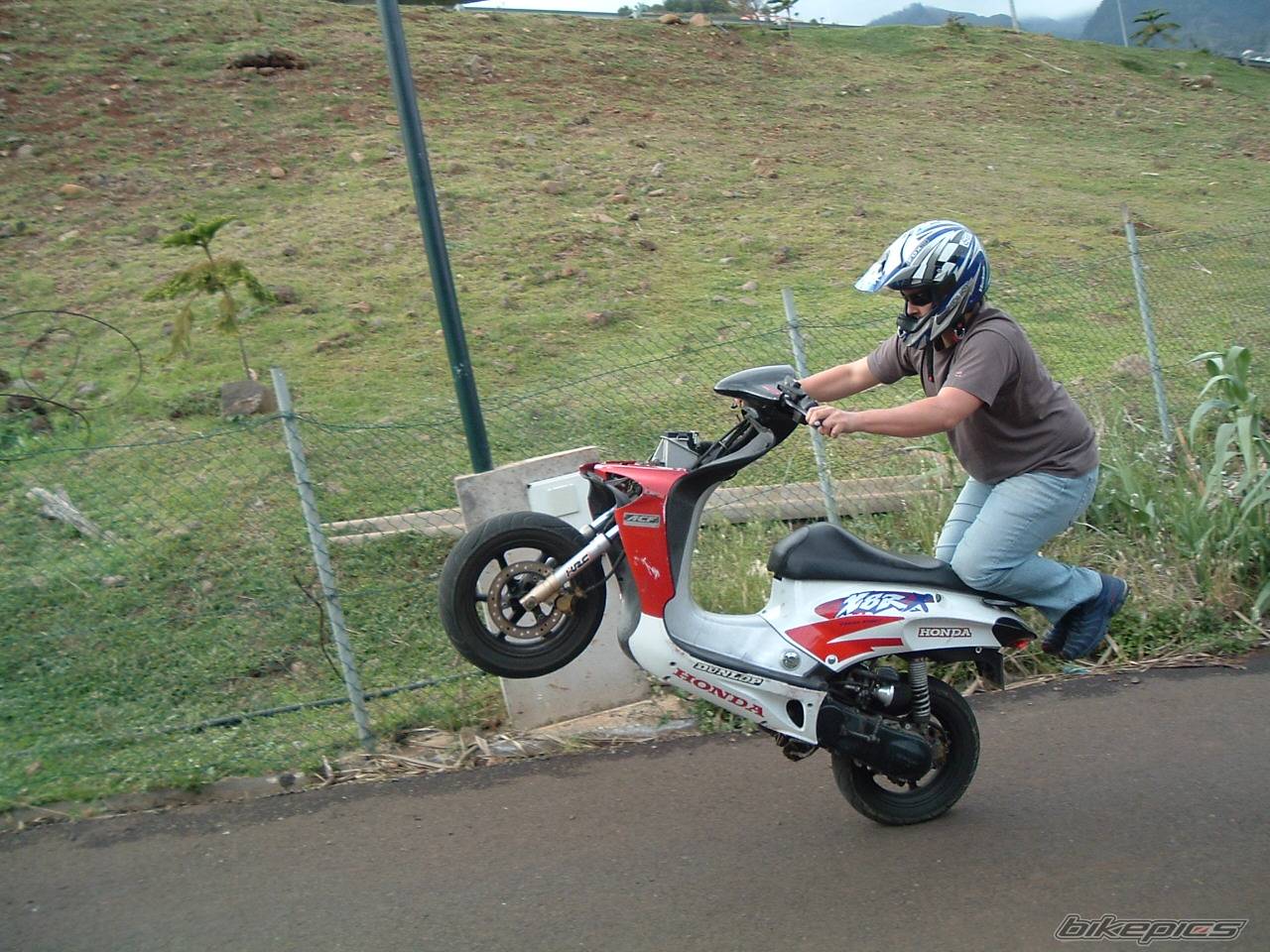 1996 HONDA X8R X | Picture 166269 motorcycle photo