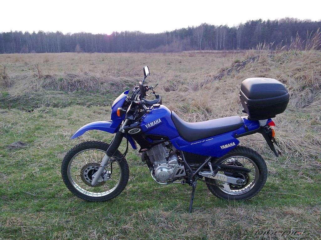 2003 YAMAHA XT 600 | Picture 1662721 motorcycle photo