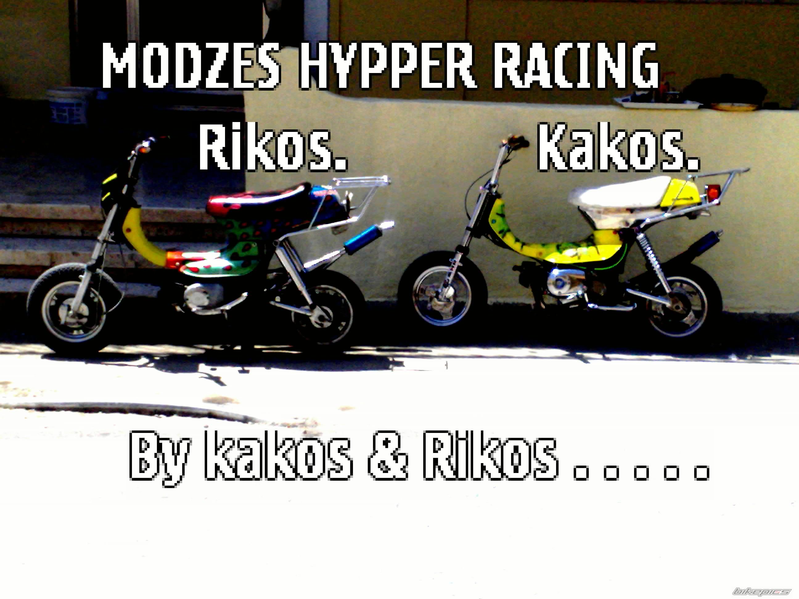 2010 SUZUKI LANDIE 50 | Picture 1663062 motorcycle photo