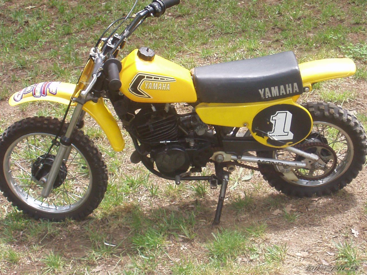 1981 YAMAHA YZ60 | Picture 1663333 motorcycle photo