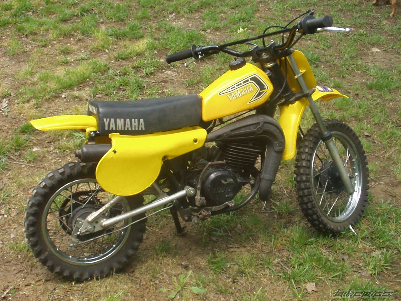 1981 YAMAHA YZ60 | Picture 1663337 motorcycle photo