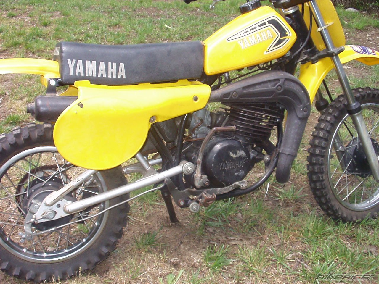1981 YAMAHA YZ60 | Picture 1663339 motorcycle photo