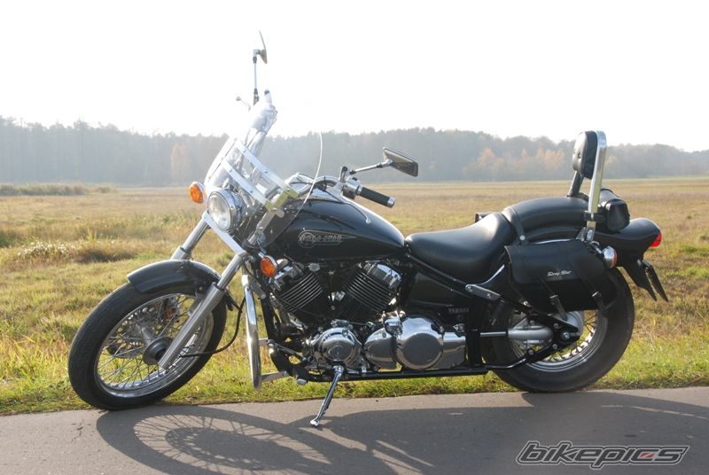 1998 YAMAHA XVS 650 V STAR | Picture 1663950 motorcycle photo