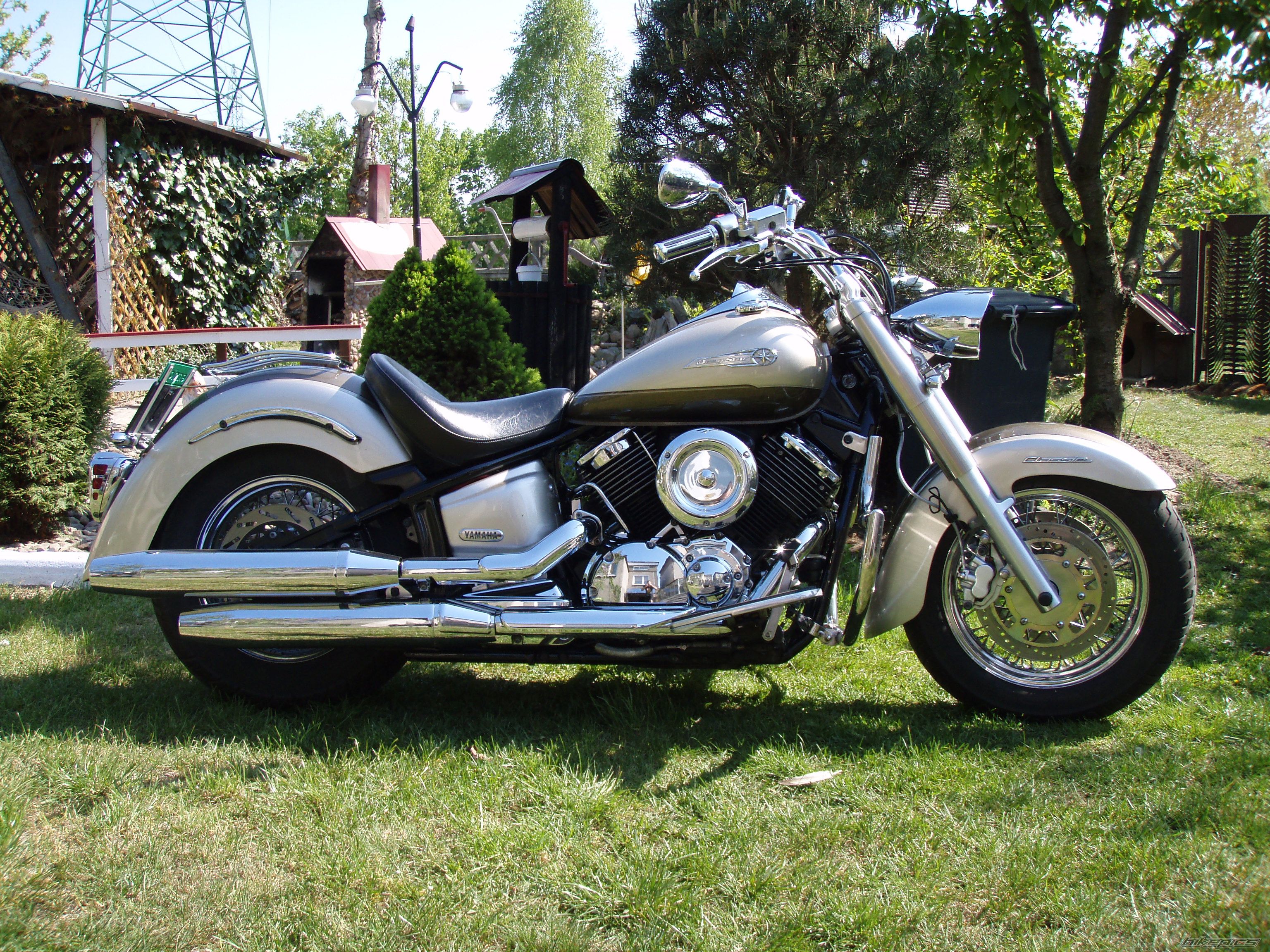 2002 YAMAHA XVS1100A DRAGSTAR CLASSIC | Picture 1664537 motorcycle photo