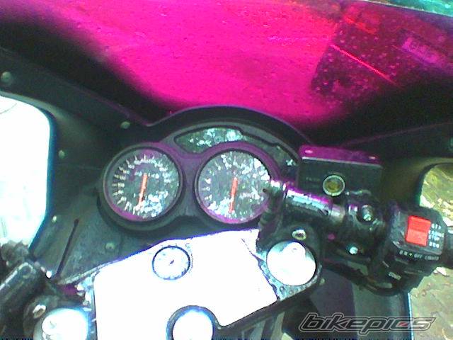 1996 SUZUKI RF 900 | Picture 166474 motorcycle photo