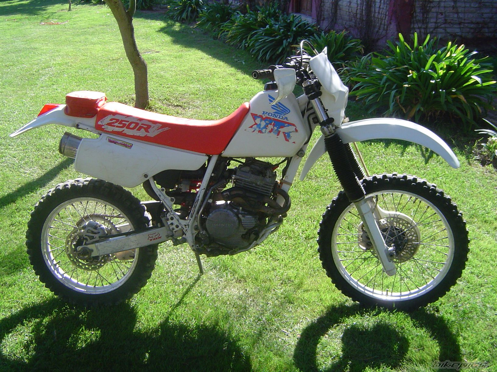 1991 HONDA XR 250 | Picture 1664847 motorcycle photo