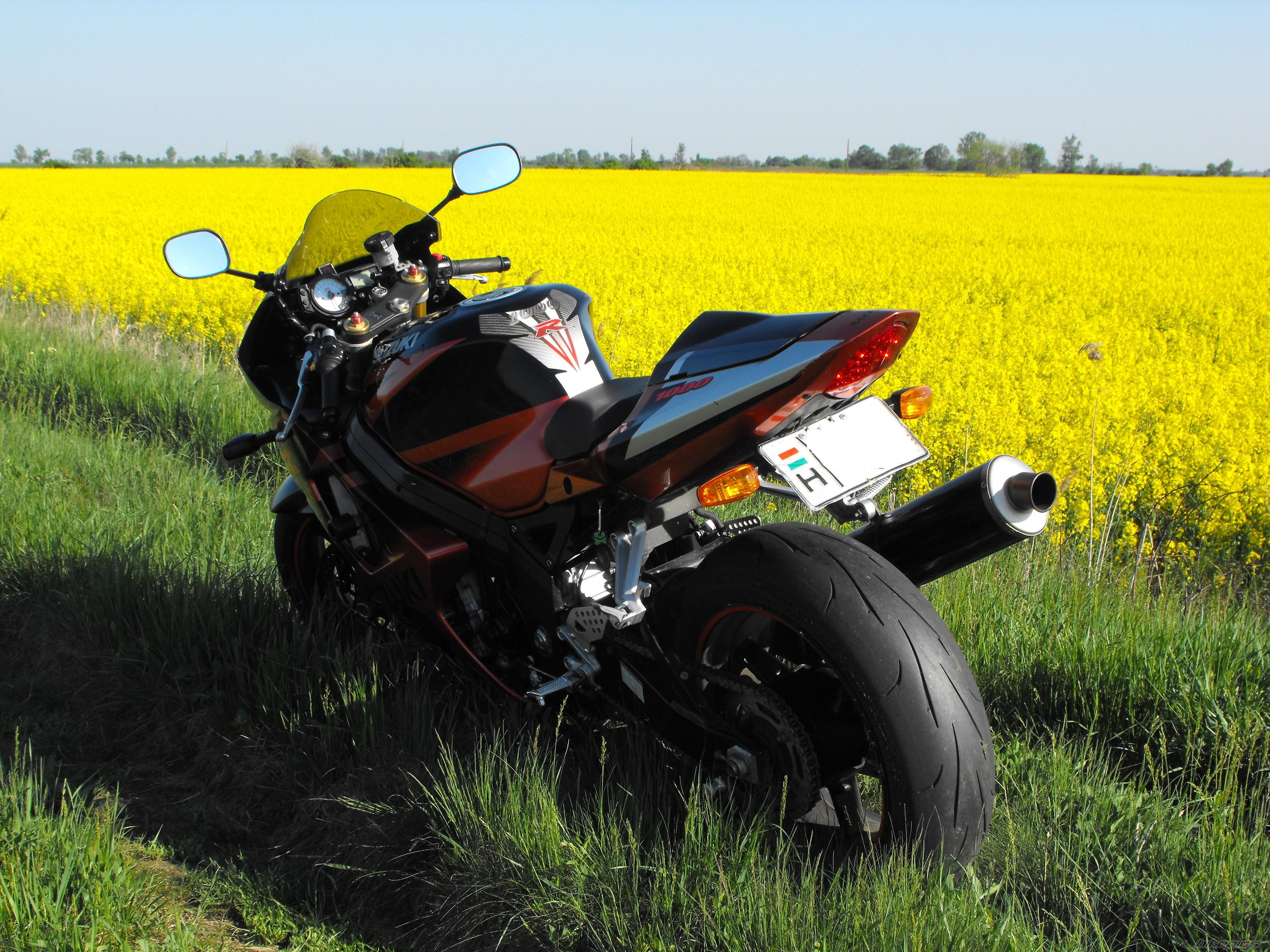2003 SUZUKI GSX R 1000 | Picture 1665441 motorcycle photo