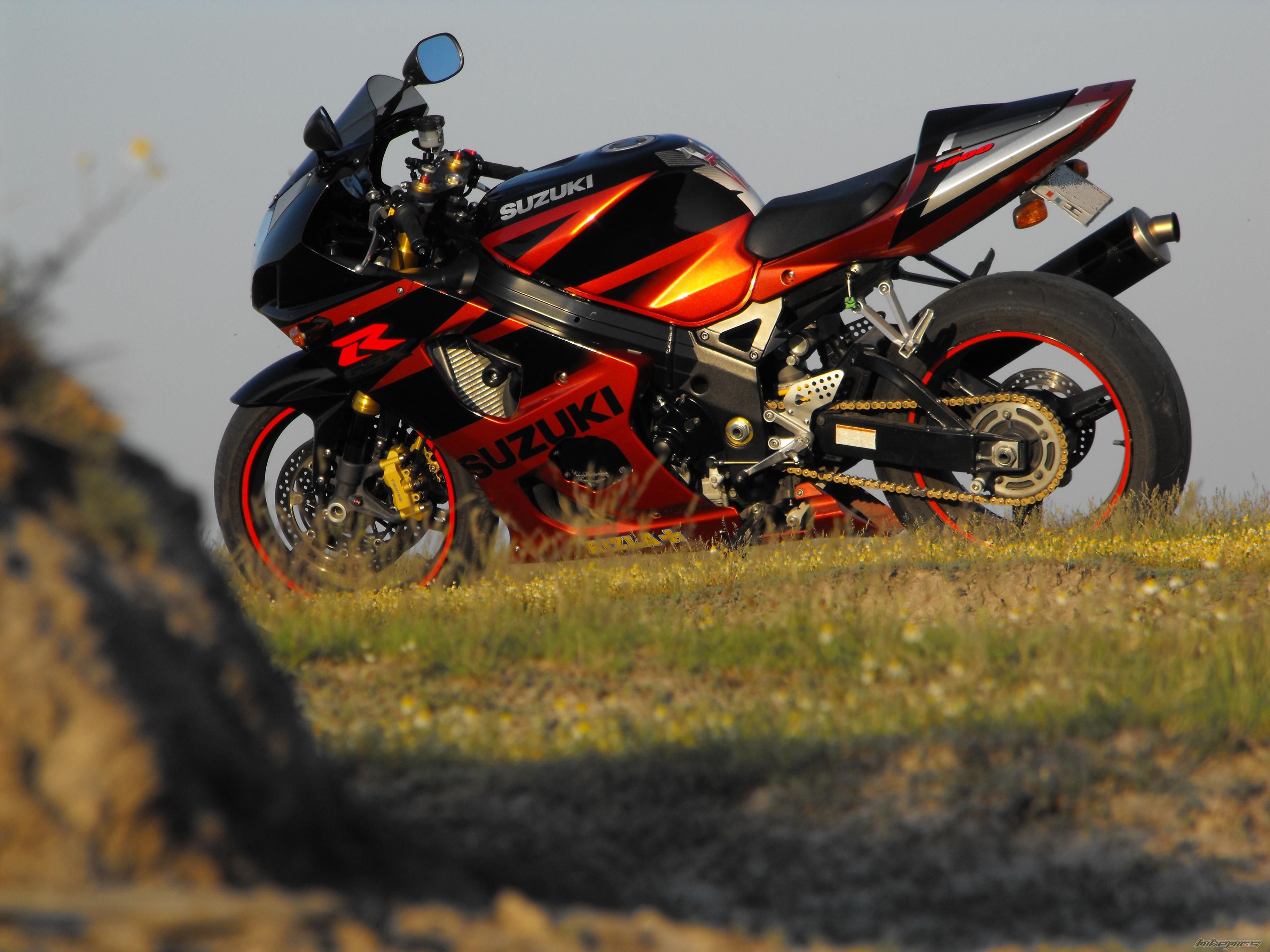 2003 SUZUKI GSX R 1000 | Picture 1665482 motorcycle photo
