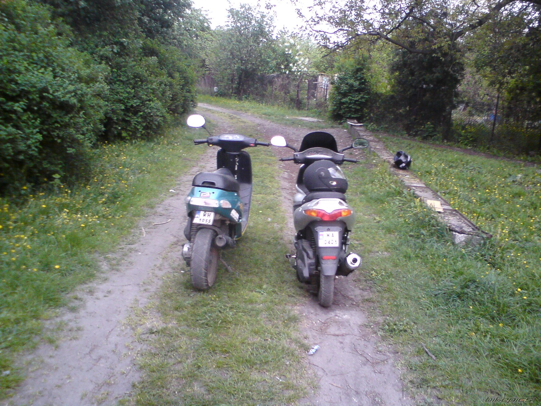 1994 GILERA TYPHOON 50 | Picture 1665539 motorcycle photo