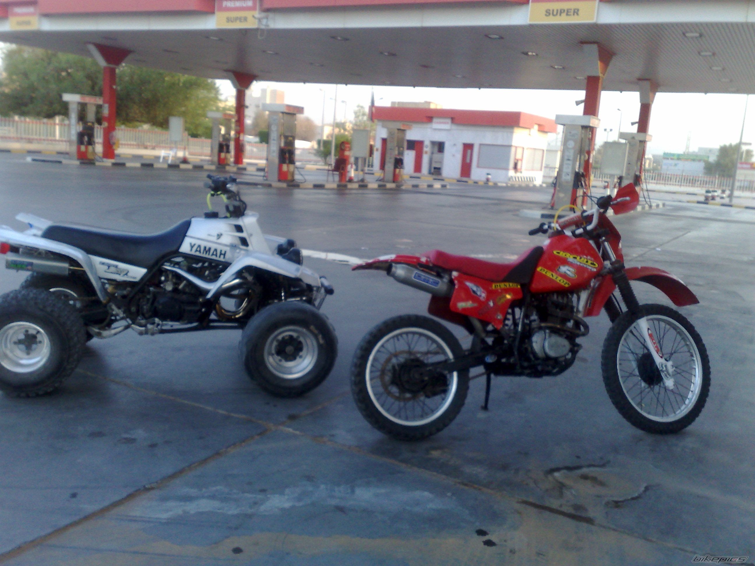 2002 HONDA XR 200 | Picture 1665579 motorcycle photo
