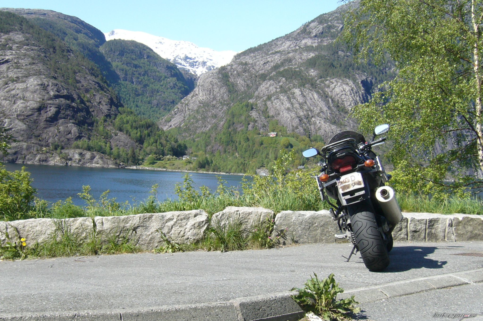 2003 SUZUKI BANDIT 1200S | Picture 1665951 motorcycle photo