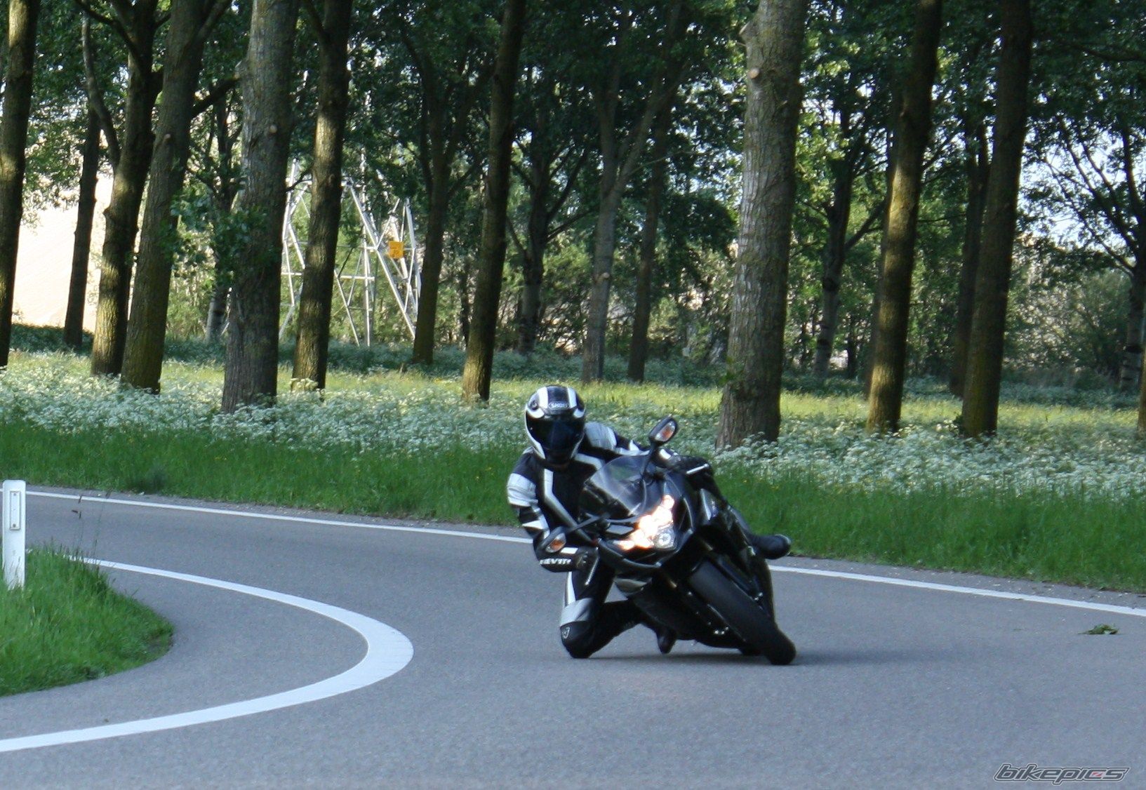2009 SUZUKI GSX R 1000 | Picture 1666213 motorcycle photo
