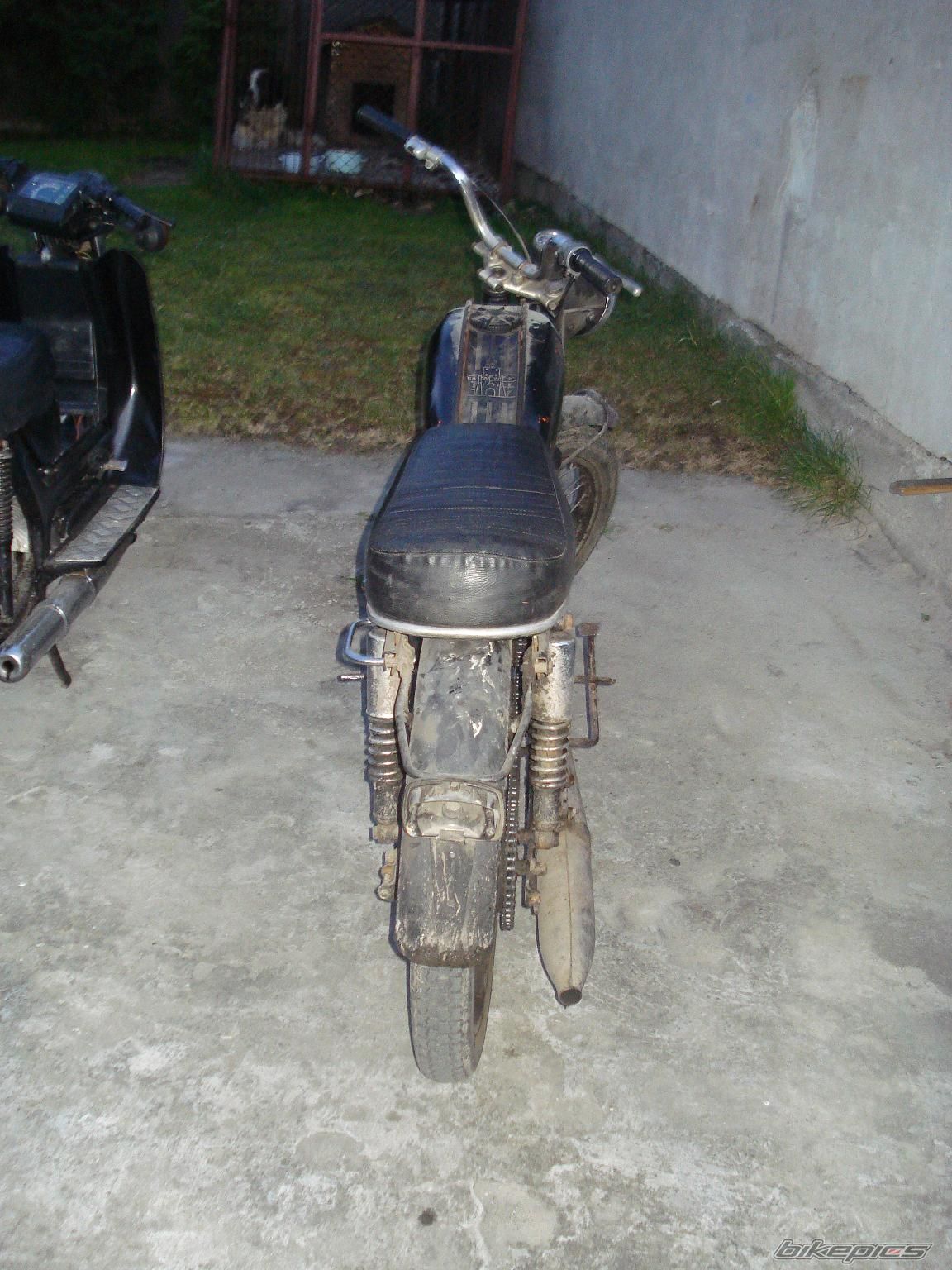 1982 WSK 125 | Picture 1666372 motorcycle photo