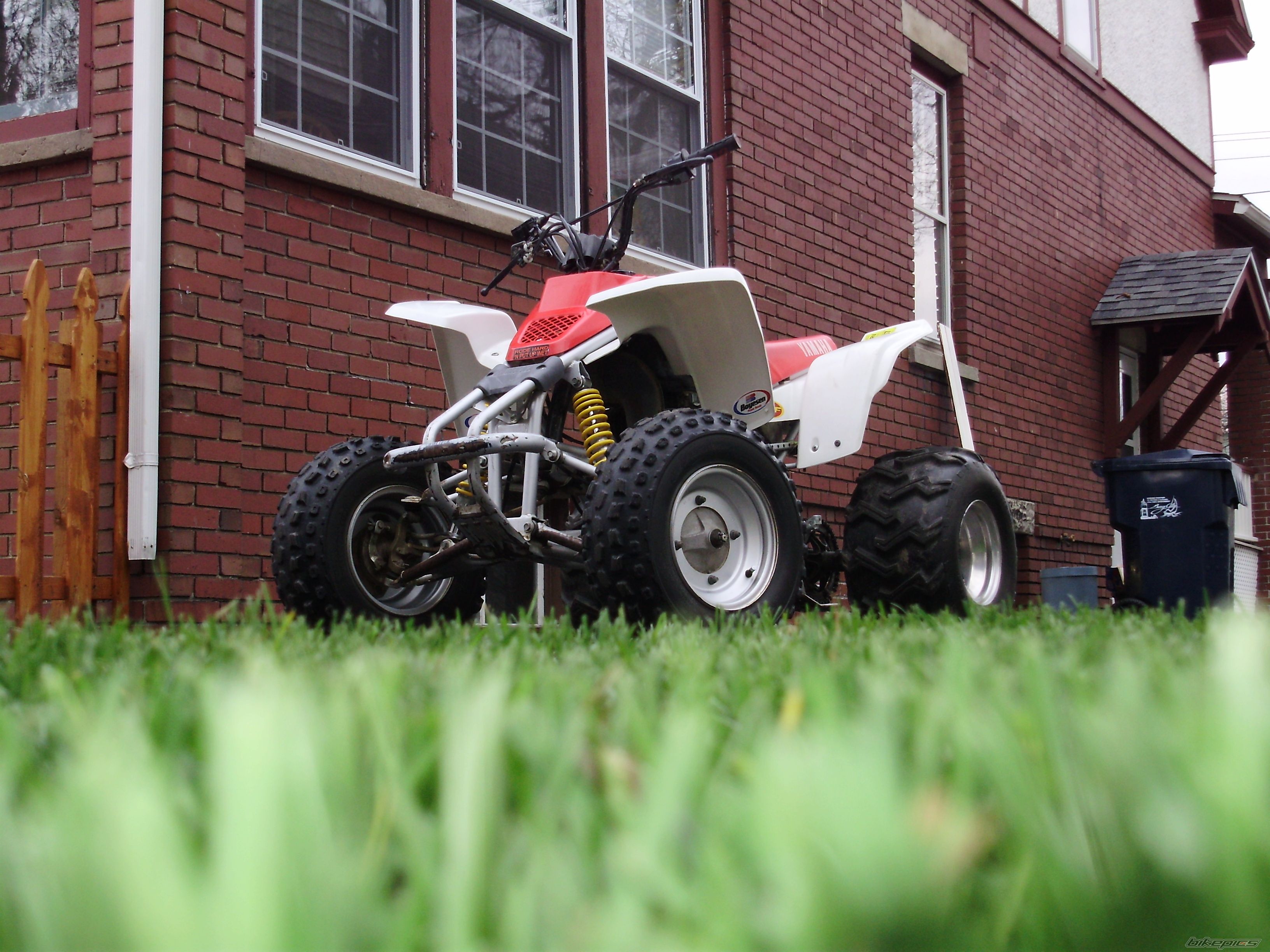 1998 YAMAHA BLASTER | Picture 1666413 motorcycle photo