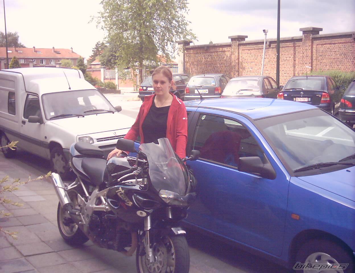 1997 SUZUKI TL1000S | Picture 166684 motorcycle photo