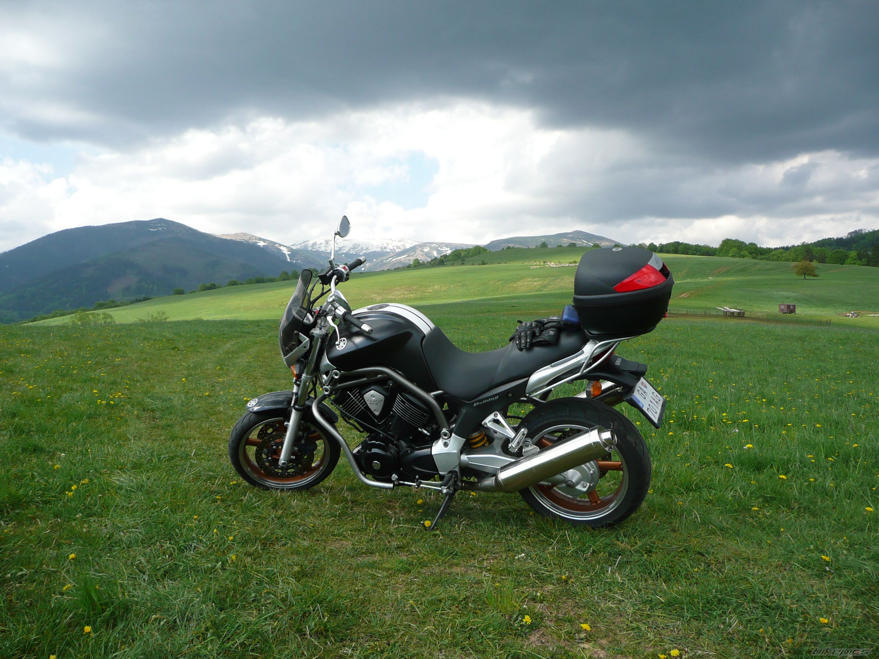 2003 YAMAHA BULLDOG | Picture 1667277 motorcycle photo