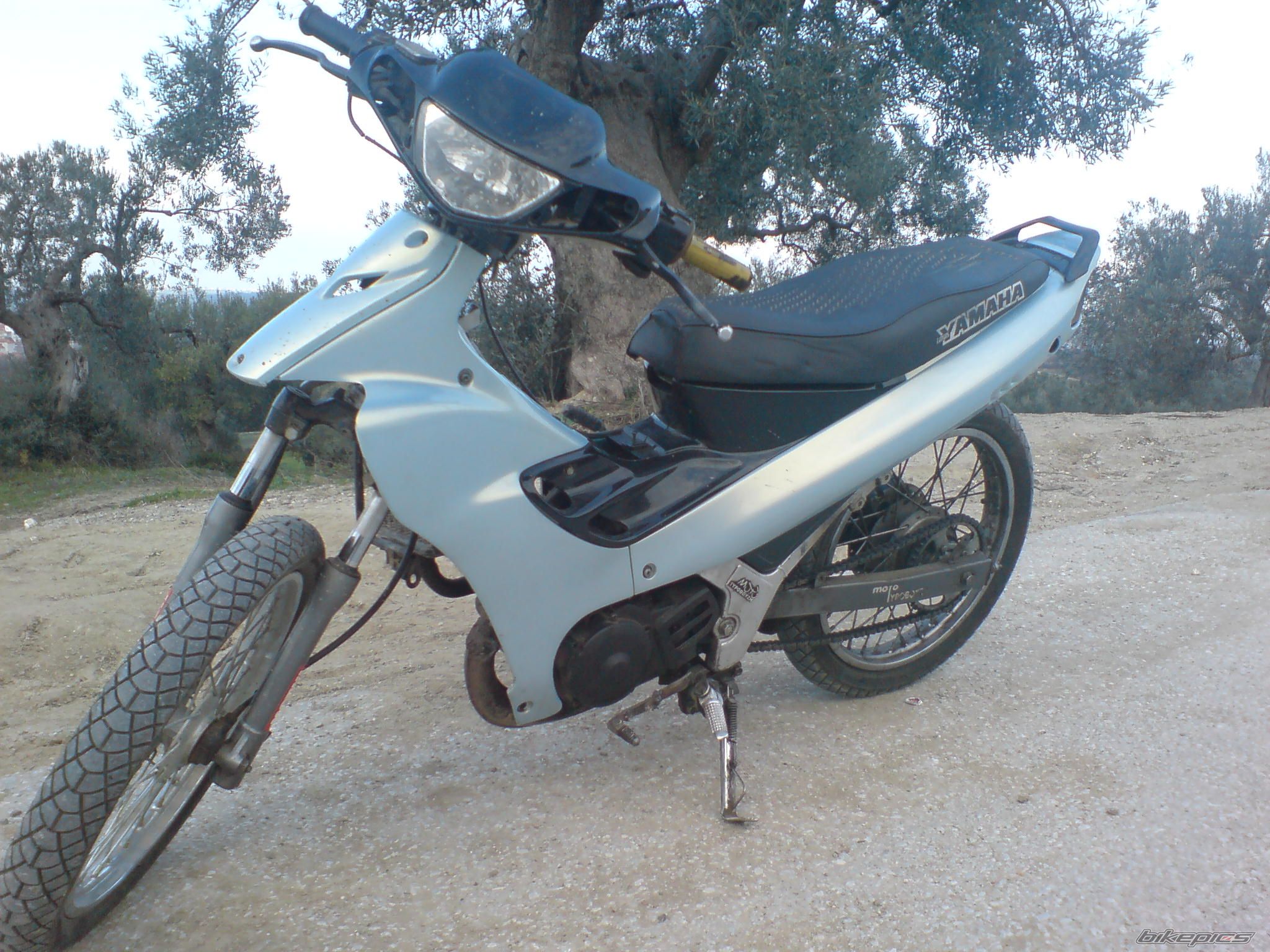 2009 YAMAHA Z 125 | Picture 1667355 motorcycle photo