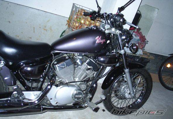 1996 YAMAHA VIRAGO 250 | Picture 166742 motorcycle photo