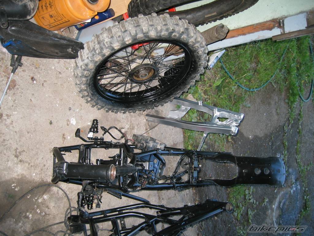 1993 SUZUKI TS 50 | Picture 166766 motorcycle photo
