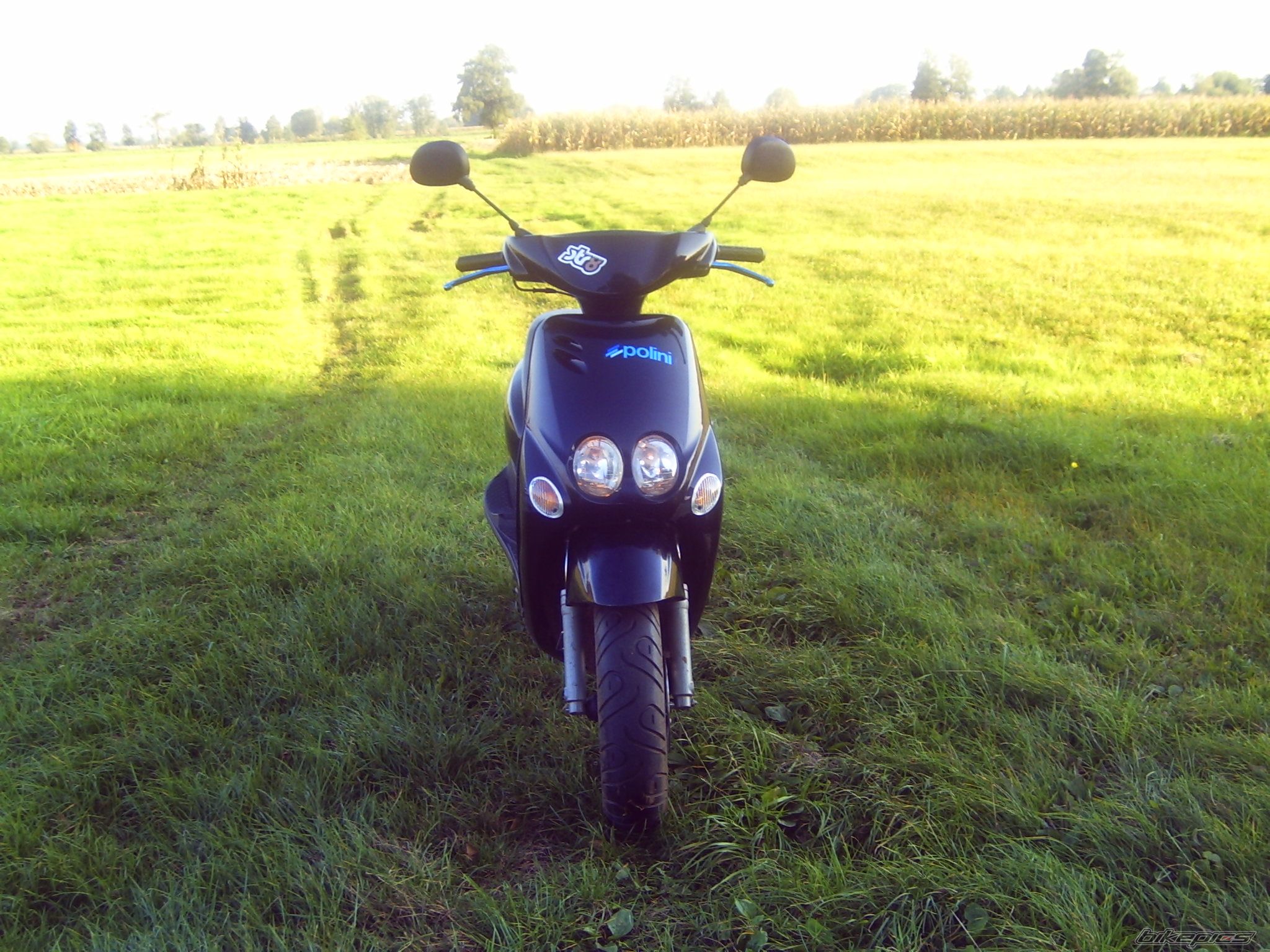 2004 YAMAHA NEOS | Picture 1667699 motorcycle photo