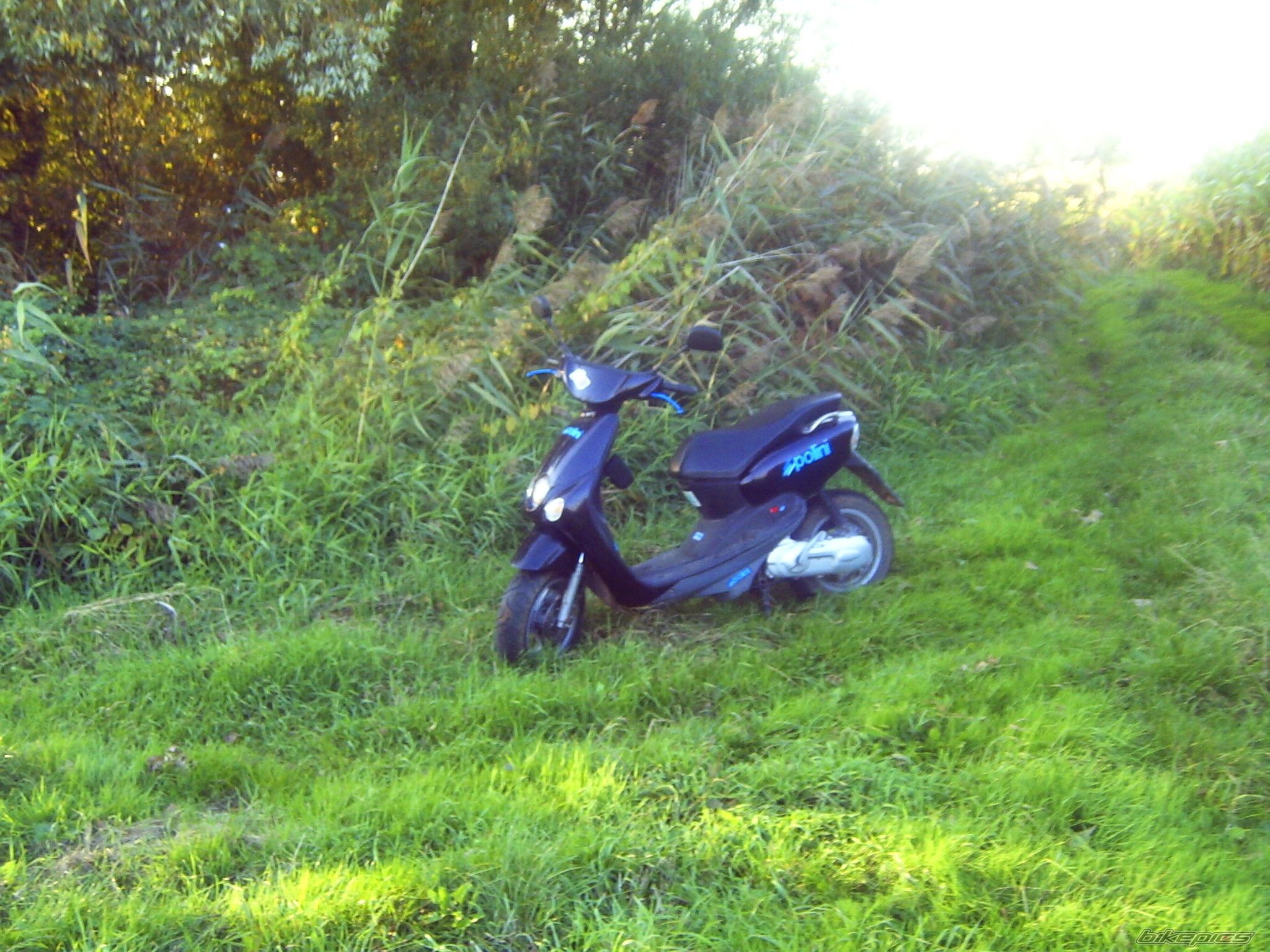 2004 YAMAHA NEOS | Picture 1667703 motorcycle photo
