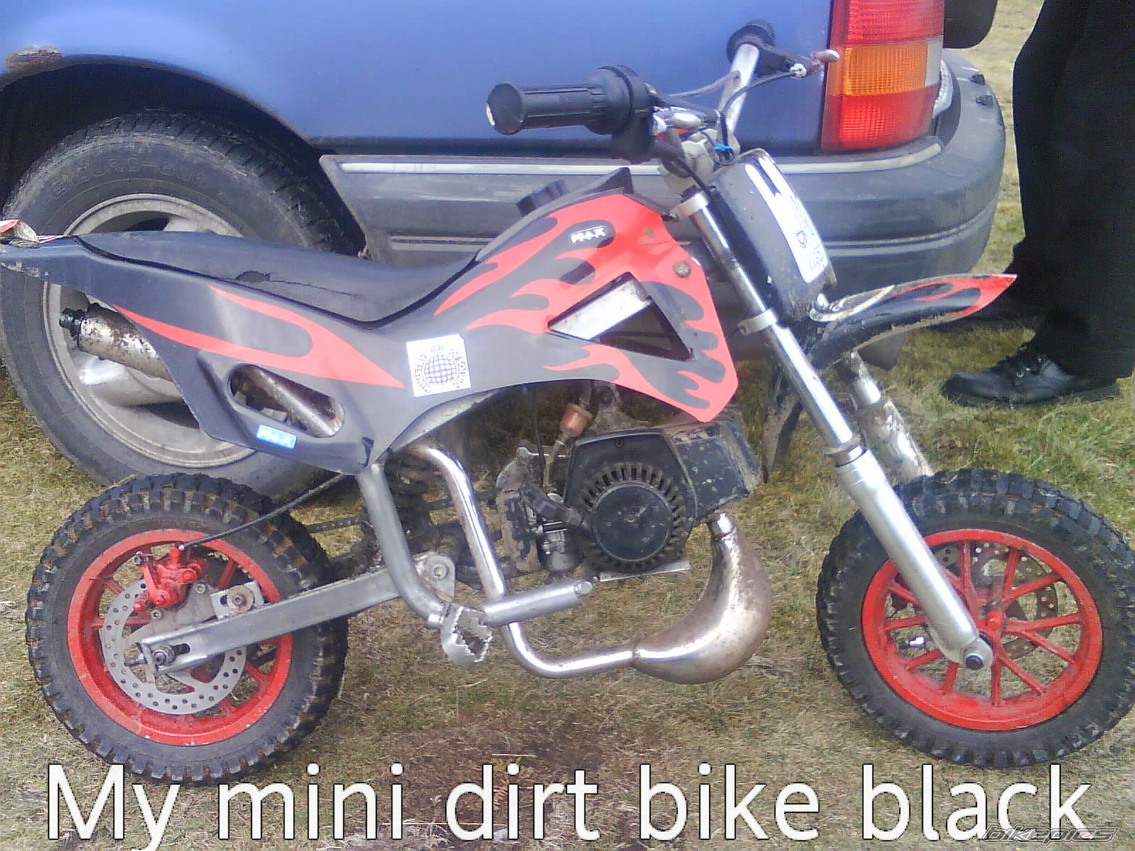 2009 BLATA MINIMOTO 2.5 | Picture 1668050 motorcycle photo