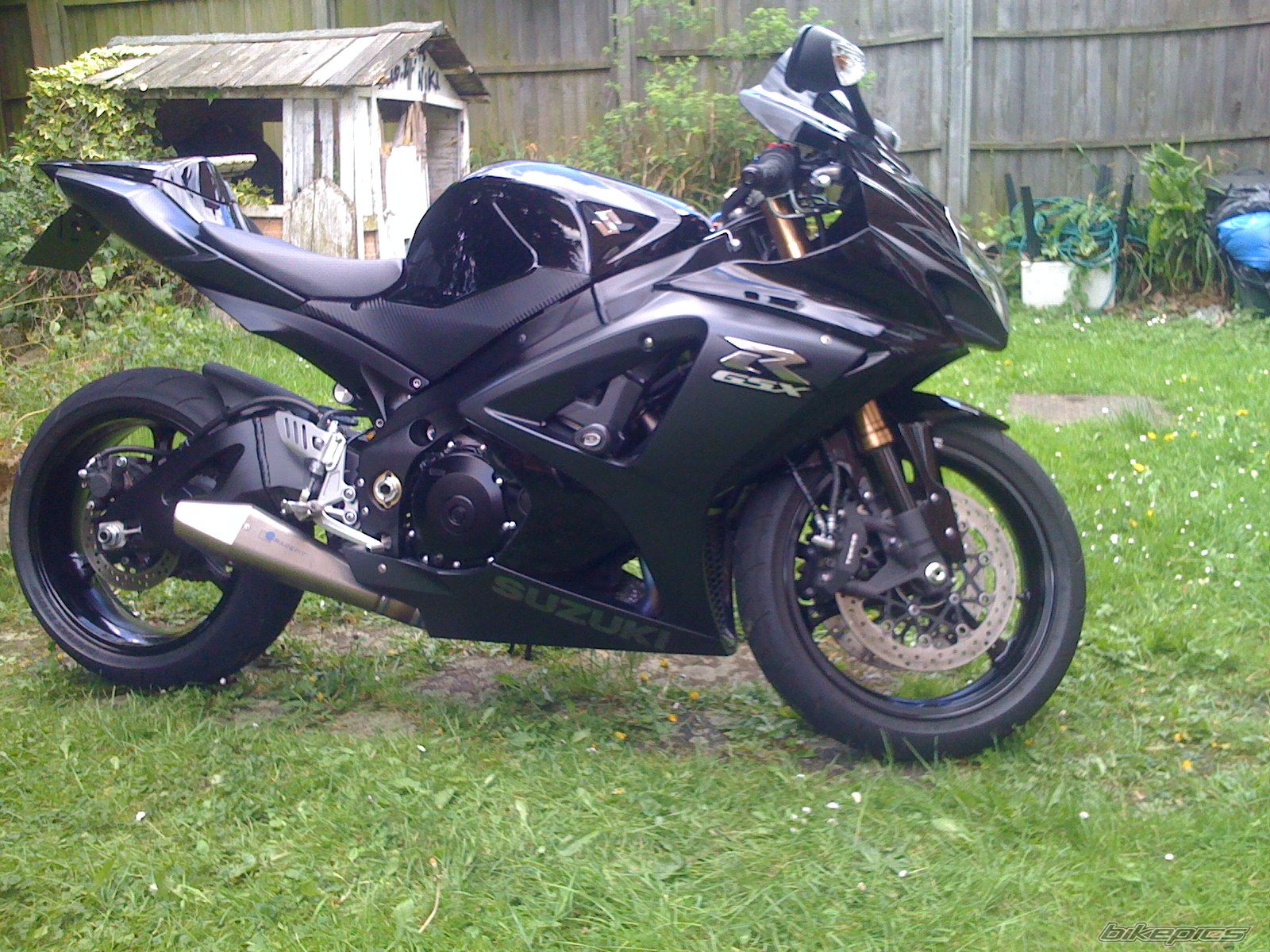 2008 SUZUKI GSX R 1000 | Picture 1668520 motorcycle photo