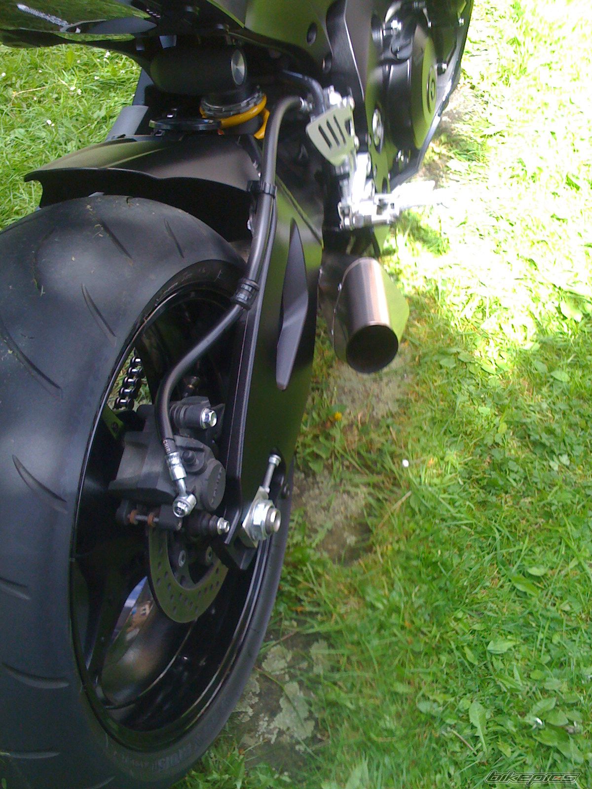 2008 SUZUKI GSX R 1000 | Picture 1668522 motorcycle photo