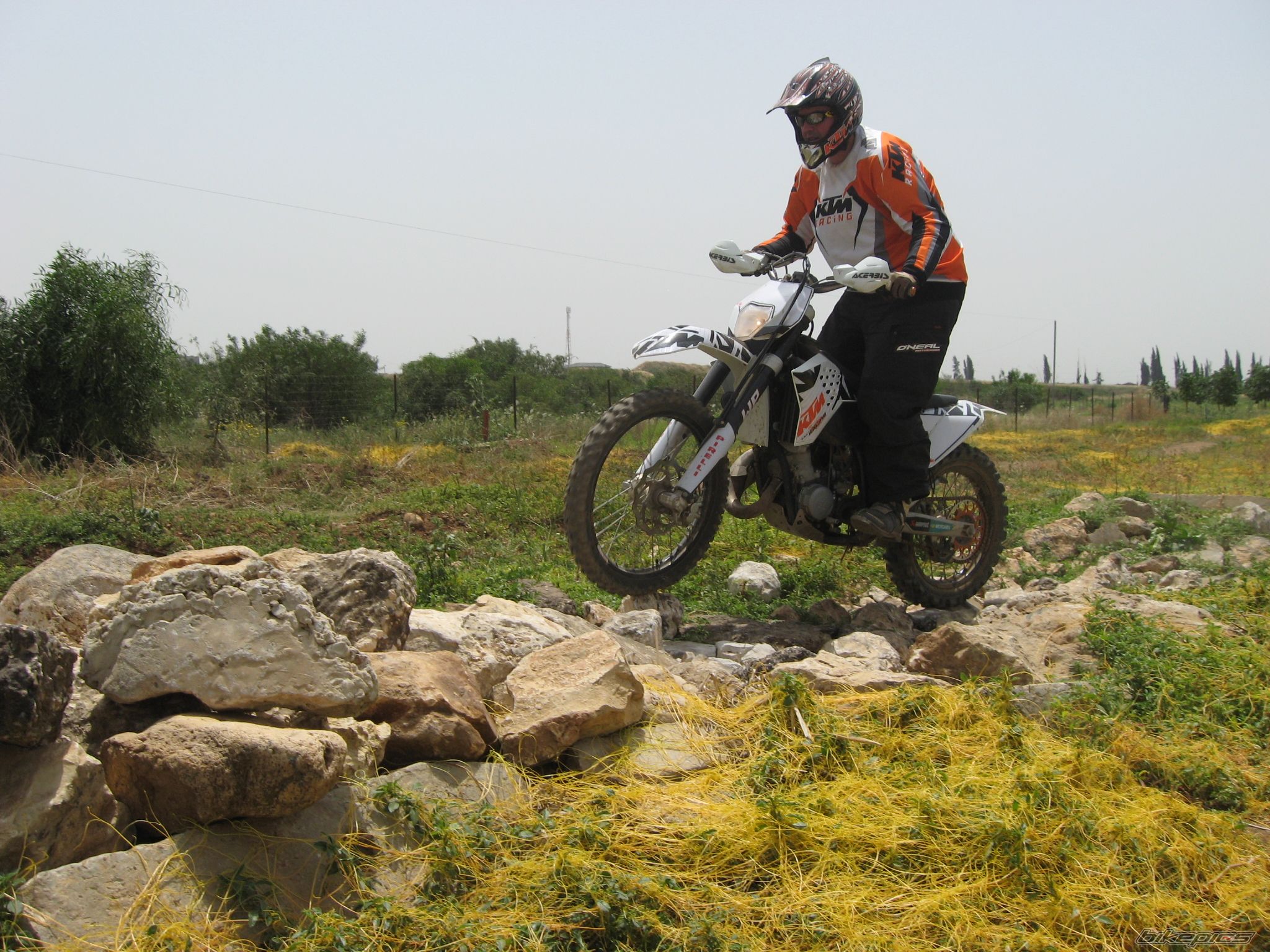 2008 KTM 125 EXC | Picture 1668870 motorcycle photo