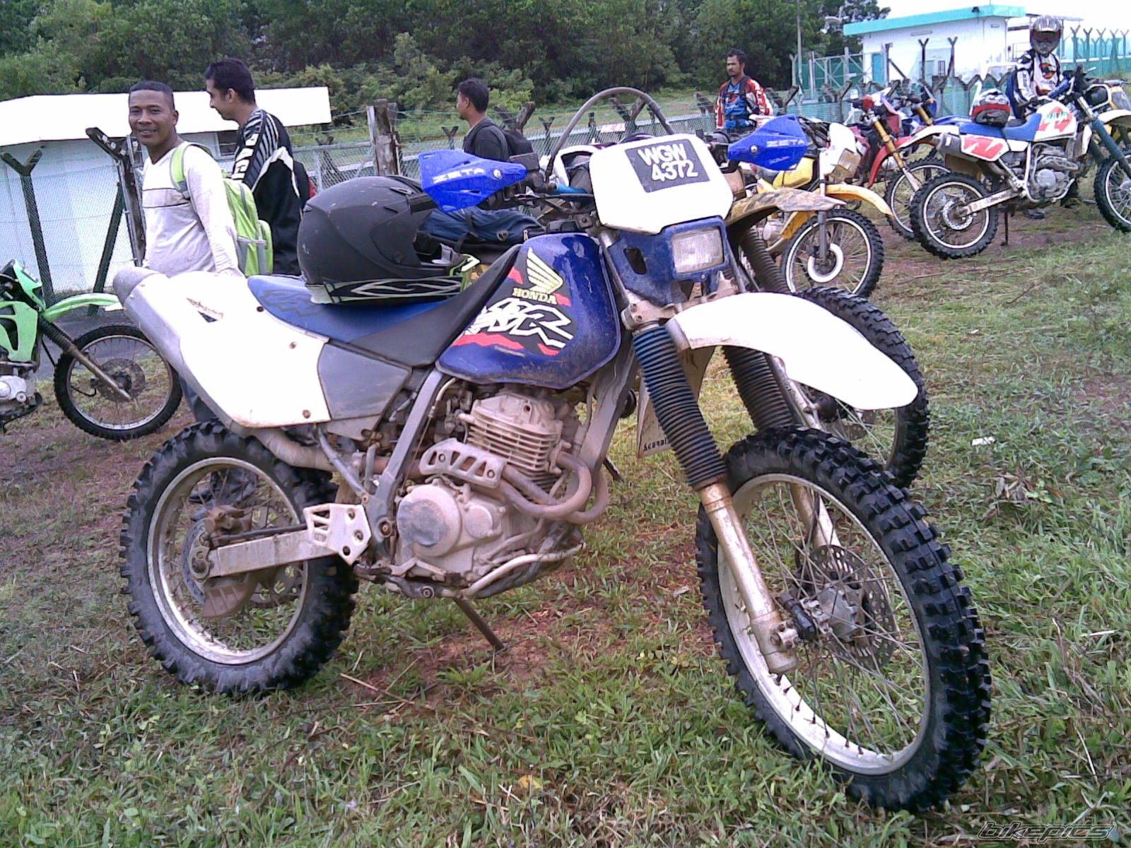 2009 HONDA XR 250 | Picture 1669197 motorcycle photo