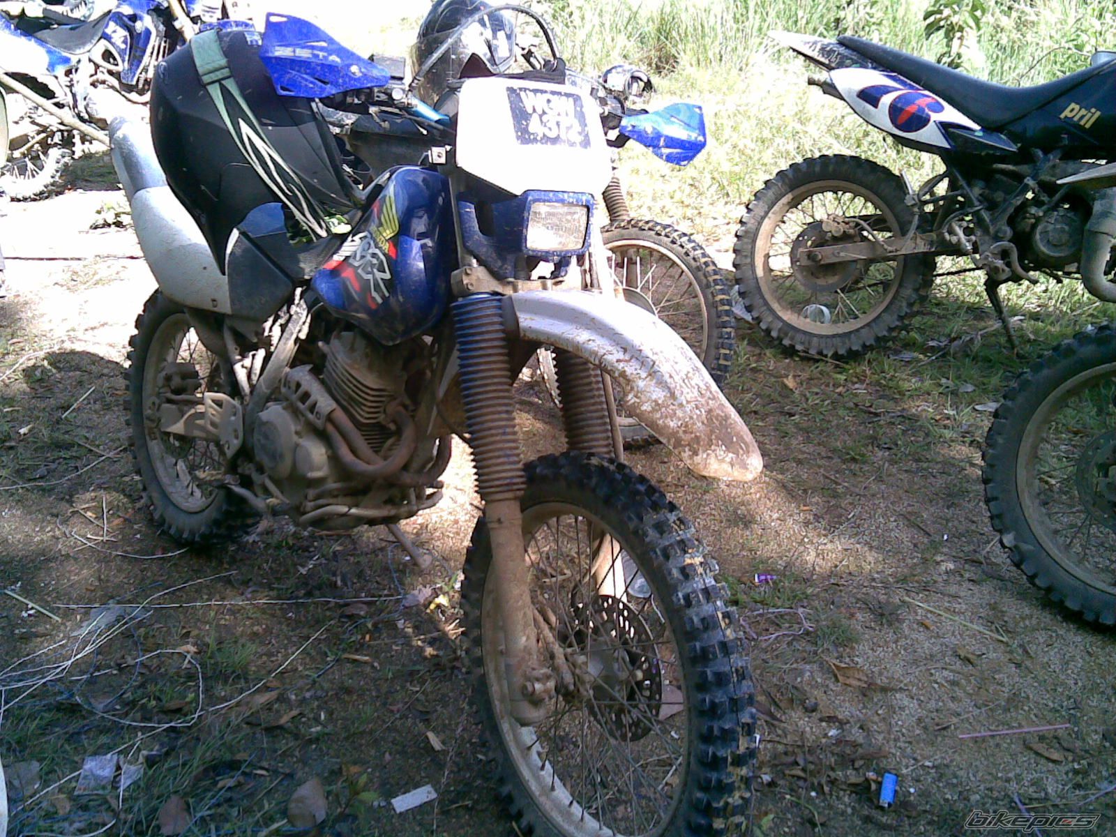2009 HONDA XR 250 | Picture 1669212 motorcycle photo