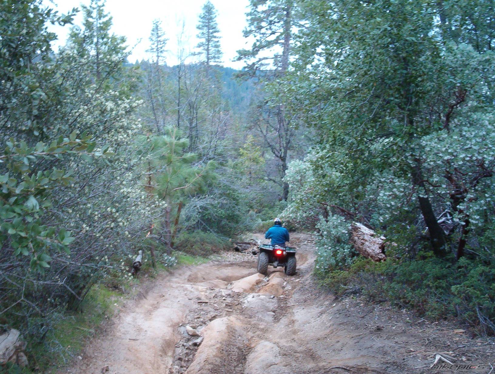 2001 YAMAHA BEARTRACKER | Picture 166942 motorcycle photo