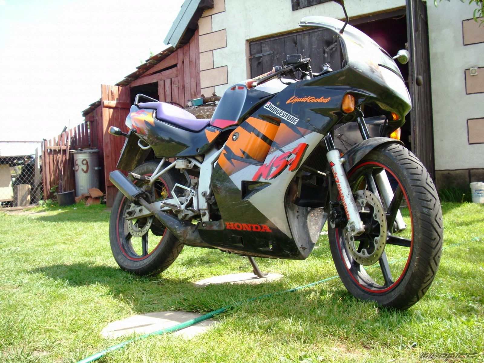 1994 HONDA NS1 80 | Picture 1669794 motorcycle photo