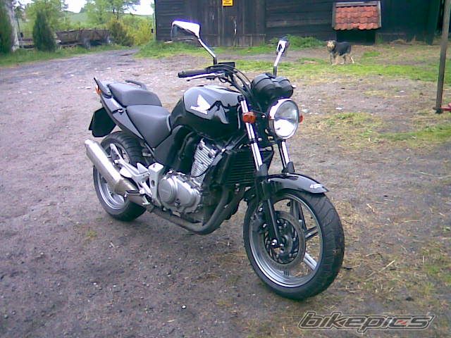 2007 HONDA CBF 500 | Picture 1669916 motorcycle photo