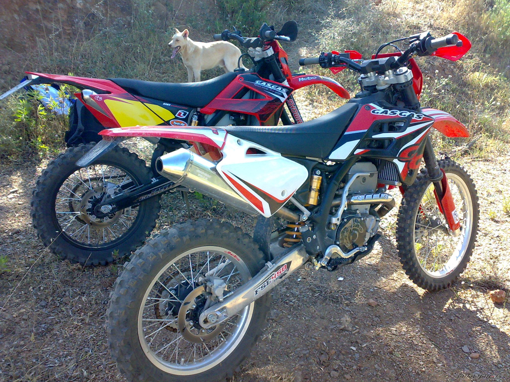 2006 GAS GAS EC 300 | Picture 1670230 motorcycle photo
