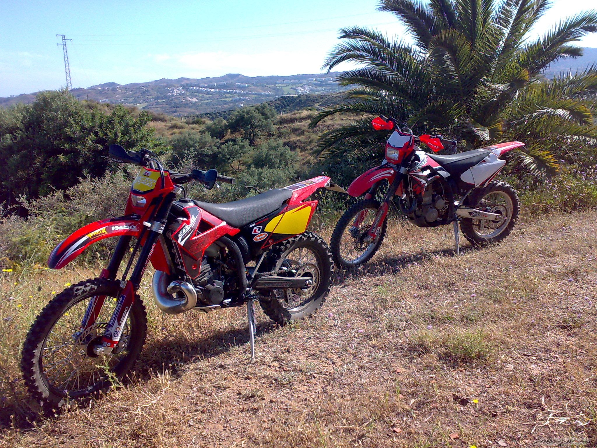 2009 GAS GAS EC 250 | Picture 1670259 motorcycle photo