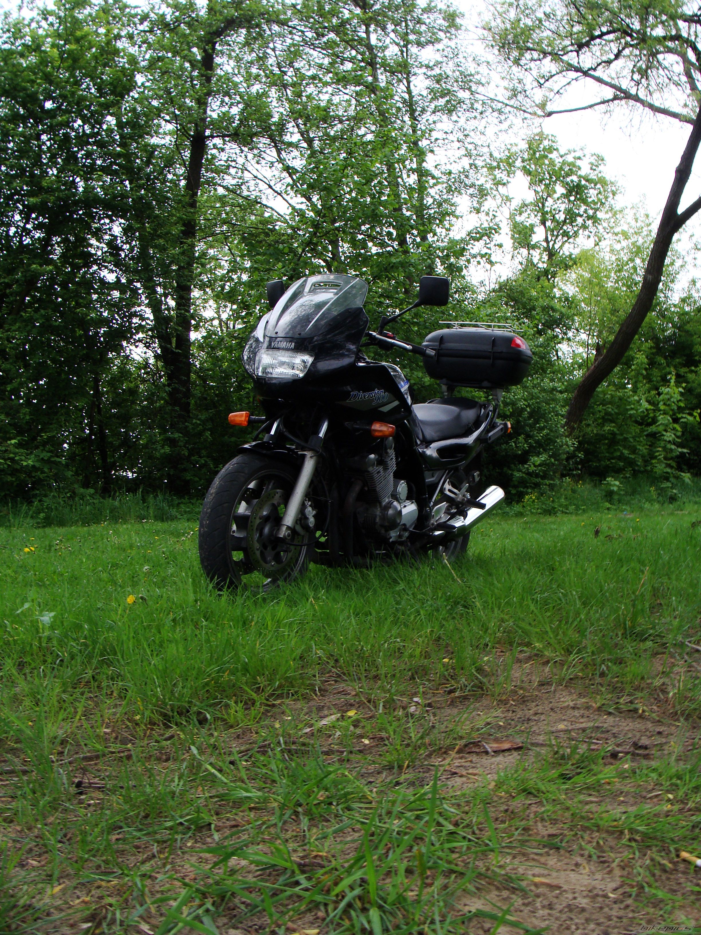 1995 YAMAHA XJ 900 | Picture 1670405 motorcycle photo