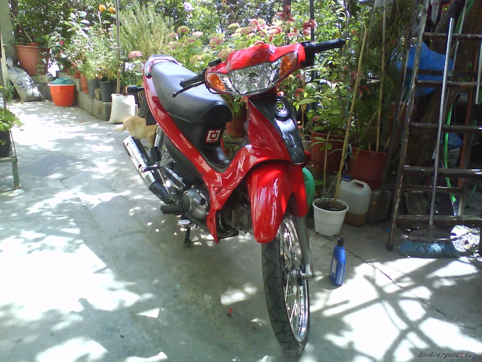2009 YAMAHA CRYPTON R 115 | Picture 1670496 motorcycle photo